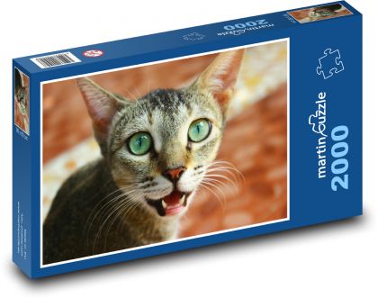 Zielonooki kot - Puzzle 2000 elementów, rozmiar 90x60 cm