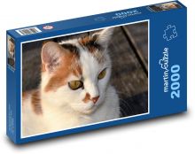 Hřejivý kočičí portrét Puzzle 2000 - 90x60 cm