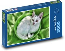 Grey cat lying in a bowl Puzzle 2000 pieces - 90 x 60 cm