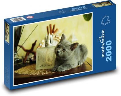 Kočka v teple domova - puzzle 2000 dílků