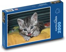 Ciekawy kotek Puzzle 2000 elementów - 90x60 cm