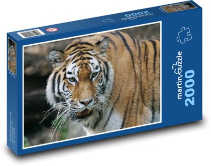 Irrepressible Tiger - Puzzle 2000 pieces, size 90x60 cm 