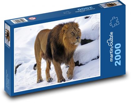 Lev - Puzzle 2000 dielikov, rozmer 90x60 cm 