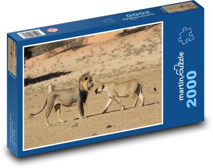 Lev a levice na savane - Puzzle 2000 dielikov, rozmer 90x60 cm 