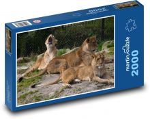 Lion Puzzle 2000 Teile - 90 x 60 cm