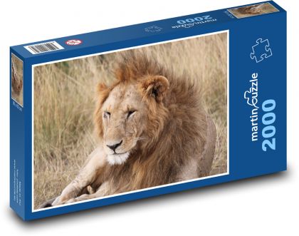 Lion - Puzzle 2000 pieces, size 90x60 cm 