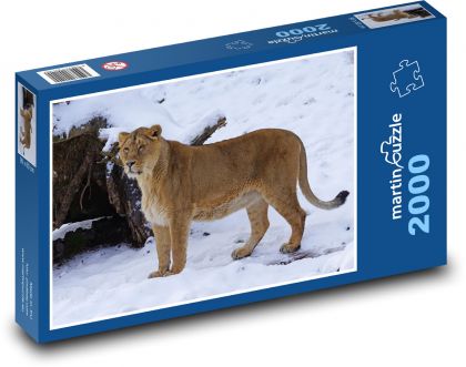 Lioness in the snow - Puzzle 2000 pieces, size 90x60 cm 