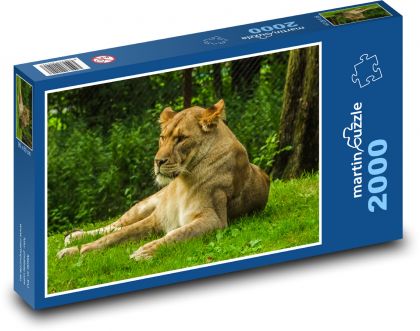 Africká lvice v zelené krajině - puzzle 2000 dílků