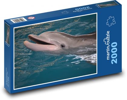 Dolphin - Puzzle 2000 pieces, size 90x60 cm 