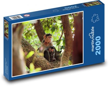 Affe auf einem Baum mit einem Jungtier - Puzzle - 2000 Teile