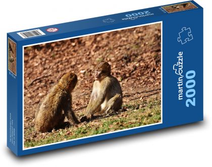 Dve opice v prírode - Puzzle 2000 dielikov, rozmer 90x60 cm 