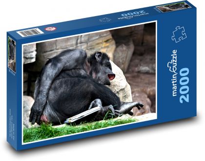 Ruhender Affe - Puzzle - 2000 Teile