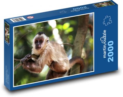 Opice - Puzzle 2000 dílků, rozměr 90x60 cm