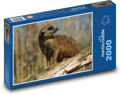 Meerkats sitting on a log - Puzzle 2000 pieces, size 90x60 cm 