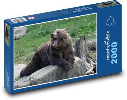 Yawning brown bear - Puzzle 2000 pieces, size 90x60 cm 