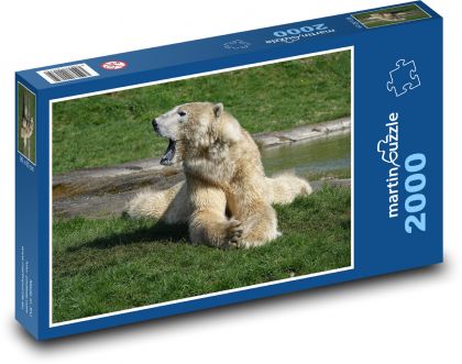 Medvěd bílý - Puzzle 2000 dílků, rozměr 90x60 cm