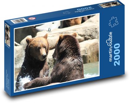 Medvěd - Puzzle 2000 dílků, rozměr 90x60 cm