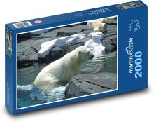 Lední medvěd ve vodě Puzzle 2000 - 90x60 cm