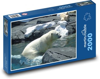 Medvěd lední - Puzzle 2000 dílků, rozměr 90x60 cm
