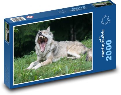 Gähnender Wolf mit großen Zähnen - Puzzle - 2000 Teile