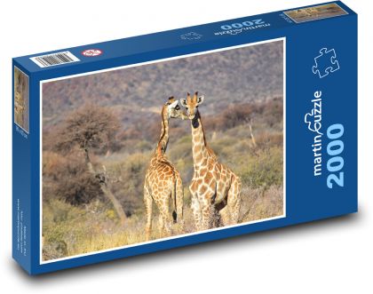 Giraffe - Puzzle 2000 pieces, size 90x60 cm 