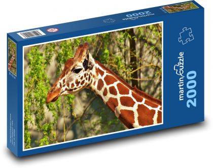 Žirafa - Puzzle 2000 dílků, rozměr 90x60 cm