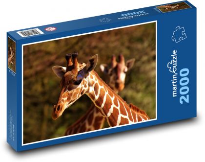 Giraffe - Puzzle - 2000 Teile