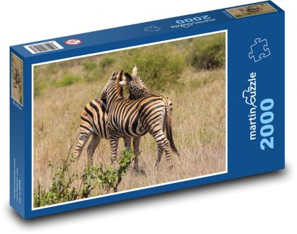 Zebry v objetí na savaně  - puzzle 2000 dílků