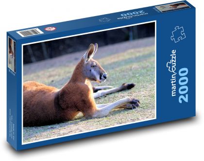 Auf einer Wiese liegendes Känguru - Puzzle - 2000 Teile