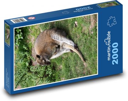 Klokan - Wallaby - Puzzle 2000 dílků, rozměr 90x60 cm
