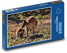 Kangur Puzzle 2000 elementów - 90x60 cm