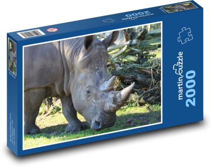 Nosorožec - Puzzle 2000 dílků, rozměr 90x60 cm