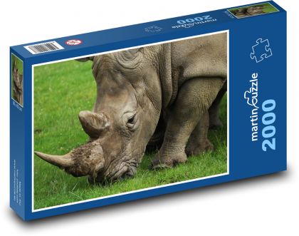 Nosorožec - Puzzle 2000 dílků, rozměr 90x60 cm