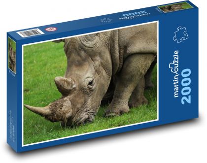 Nosorožec při pastvě - puzzle 2000 dílků
