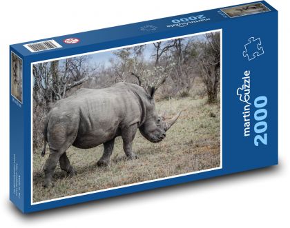 Nosorożec na afrykańskiej pustyni - Puzzle 2000 elementów, rozmiar 90x60 cm
