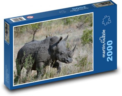 Rhino in the African savannah - Puzzle 2000 pieces, size 90x60 cm 