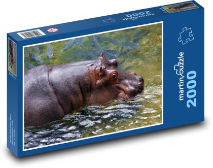 Hroch plavající ve vodě - puzzle 2000 dílků