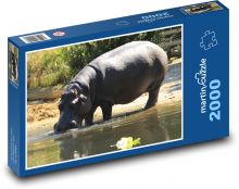 Hroch u vodního břehu Puzzle 2000 - 90x60 cm