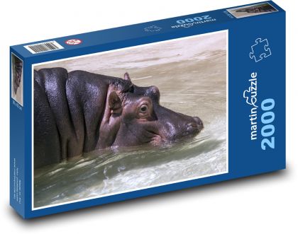 Hroch plávajúci vo vode - Puzzle 2000 dielikov, rozmer 90x60 cm 