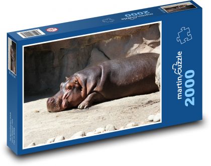 Odpočívající hroch - puzzle 2000 dílků