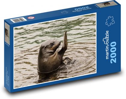 Sea lion - Puzzle 2000 pieces, size 90x60 cm 