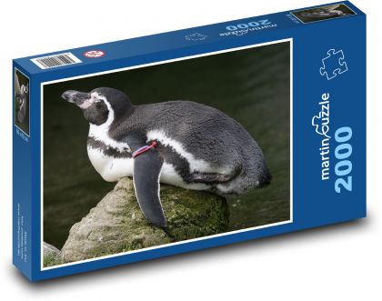 Tučňák - Puzzle 2000 dílků, rozměr 90x60 cm