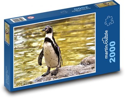 Niedlicher Pinguin auf einem Felsen - Puzzle - 2000 Teile