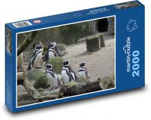 Pinguinkolonie Puzzle 2000 Teile - 90 x 60 cm