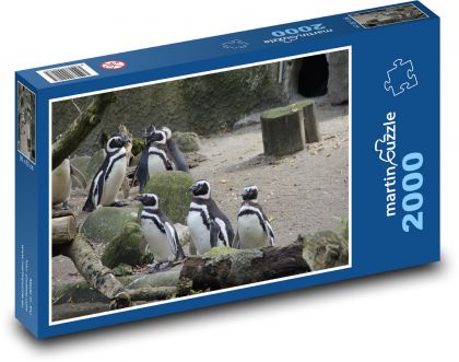 Pinguinkolonie - Puzzle - 2000 Teile