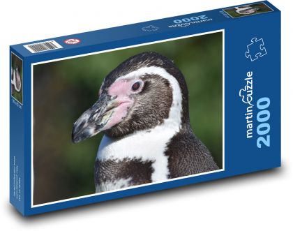 Pinguin mit schwarz-weißem Kopf - Puzzle - 2000 Teile