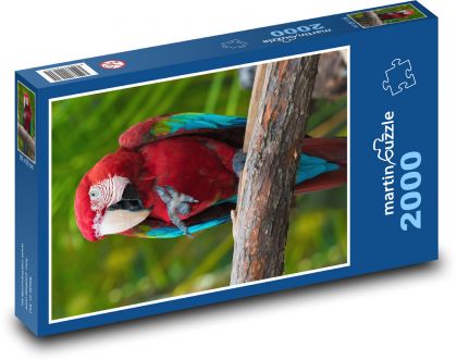 Ara červený, exotický papagáj - Puzzle 2000 dielikov, rozmer 90x60 cm 
