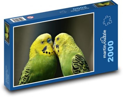 Papoušek - Puzzle 2000 dílků, rozměr 90x60 cm
