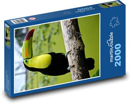 Tukan na vetve - Puzzle 2000 dielikov, rozmer 90x60 cm 