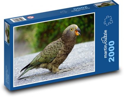 Kea, horský papagáj - Puzzle 2000 dielikov, rozmer 90x60 cm 
